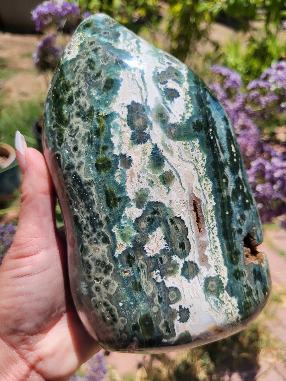 XL Rare Old Stock First Vein Orbicular Ocean Jasper Freeform